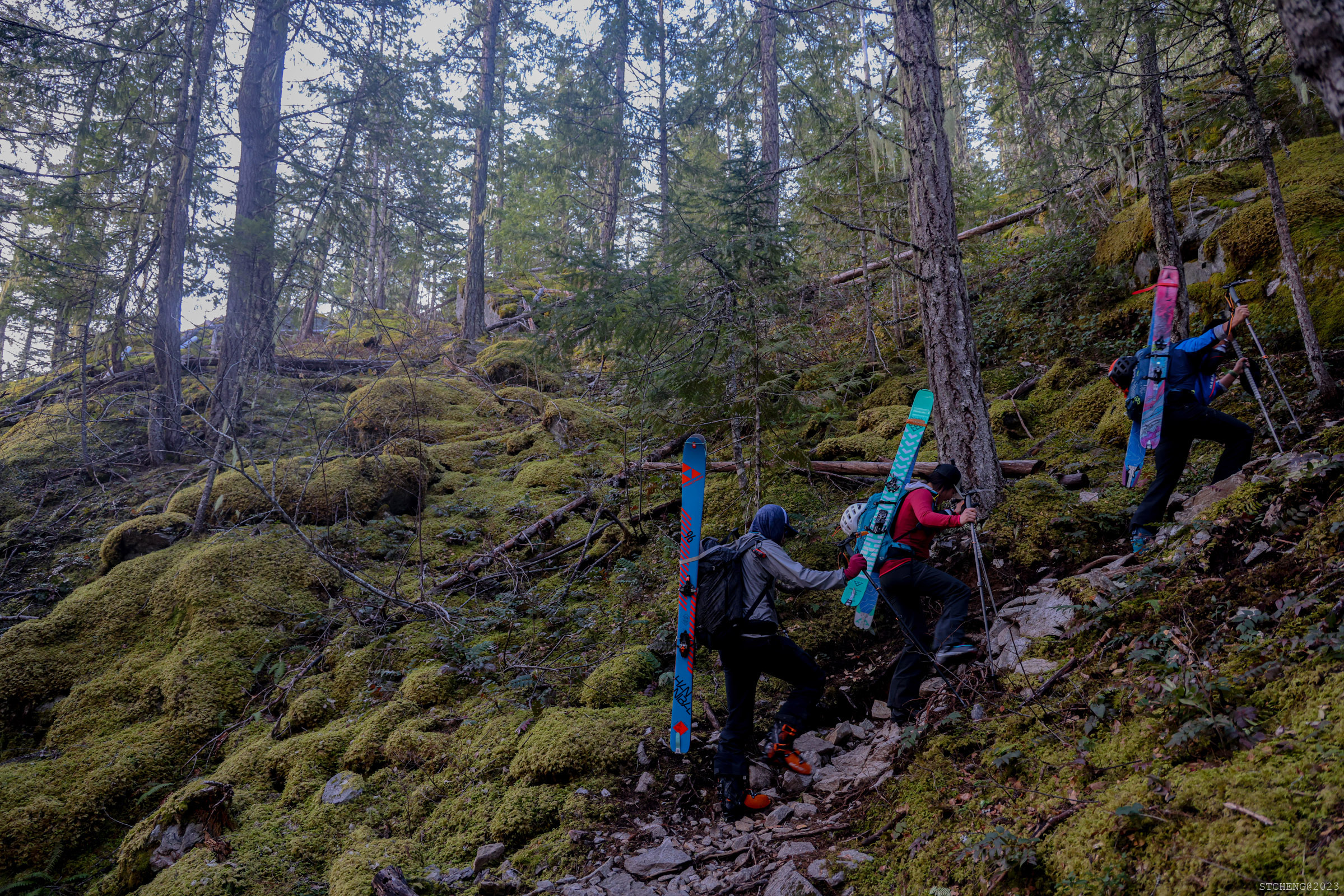 Hiking up Through Happy Creek Nature Trail