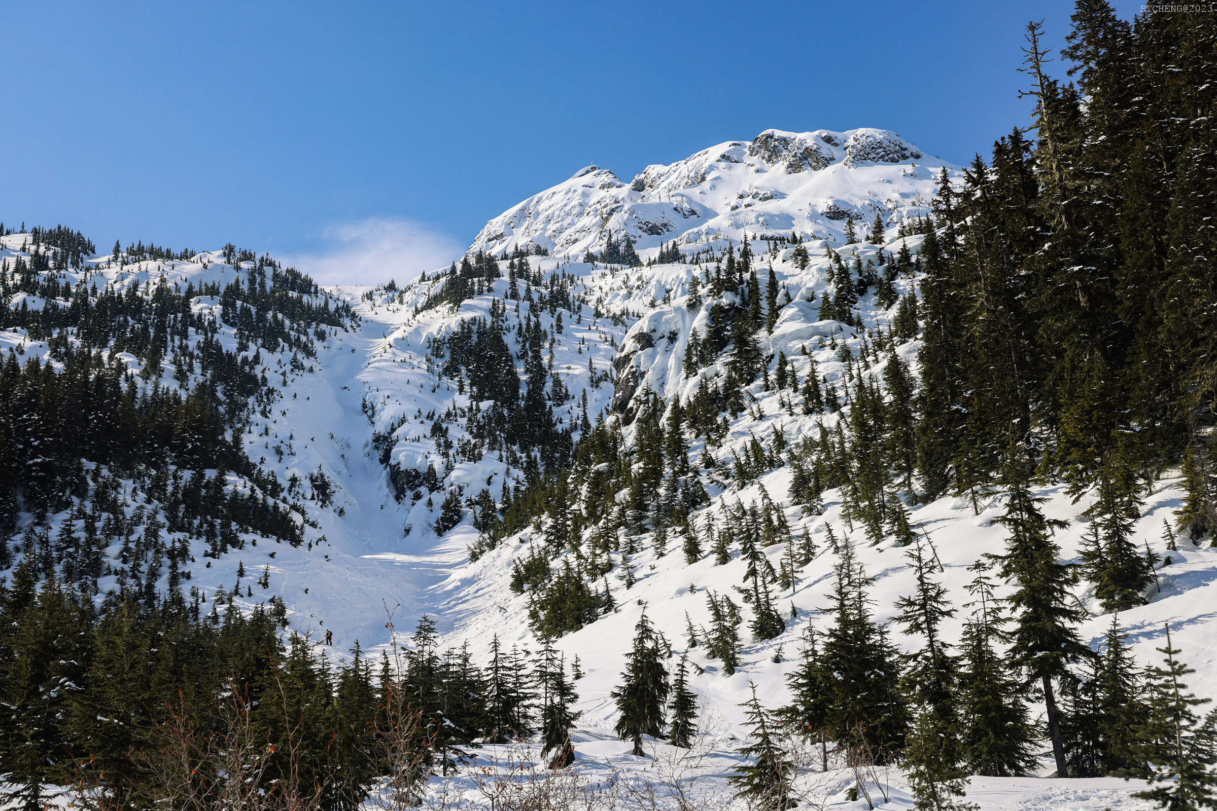 Full View of Happy Creek