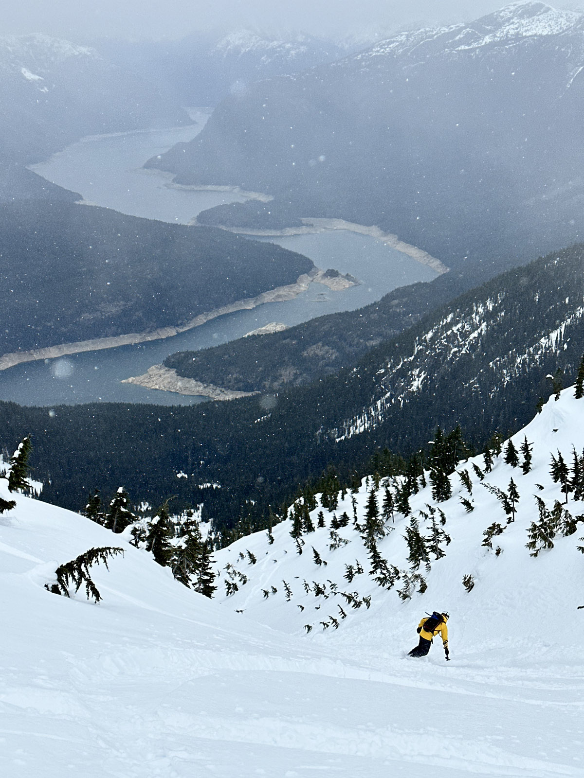 Riding Down the Gully