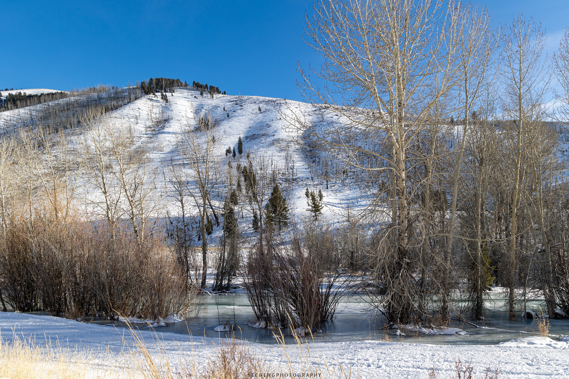 The half frozen Trail Creek