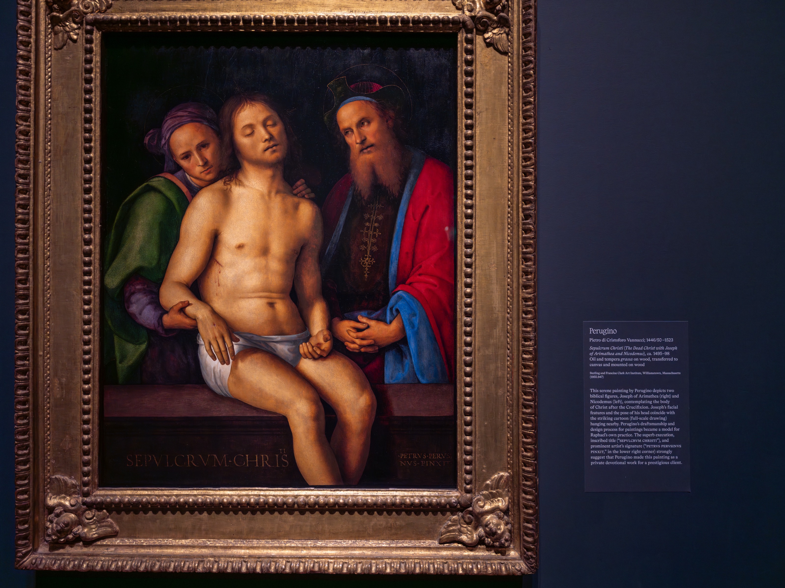 Raphael Study 04