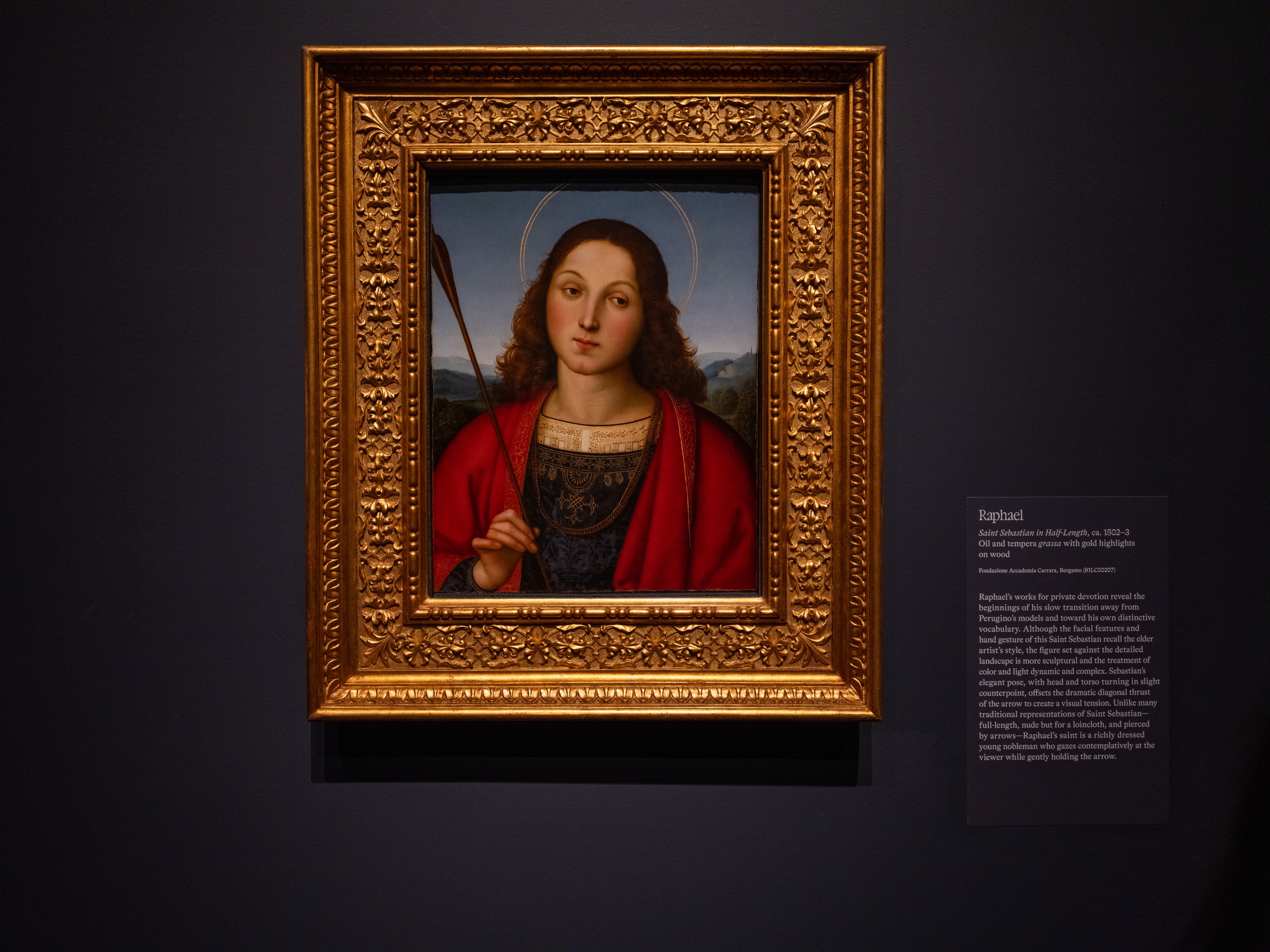 Raphael Study 09