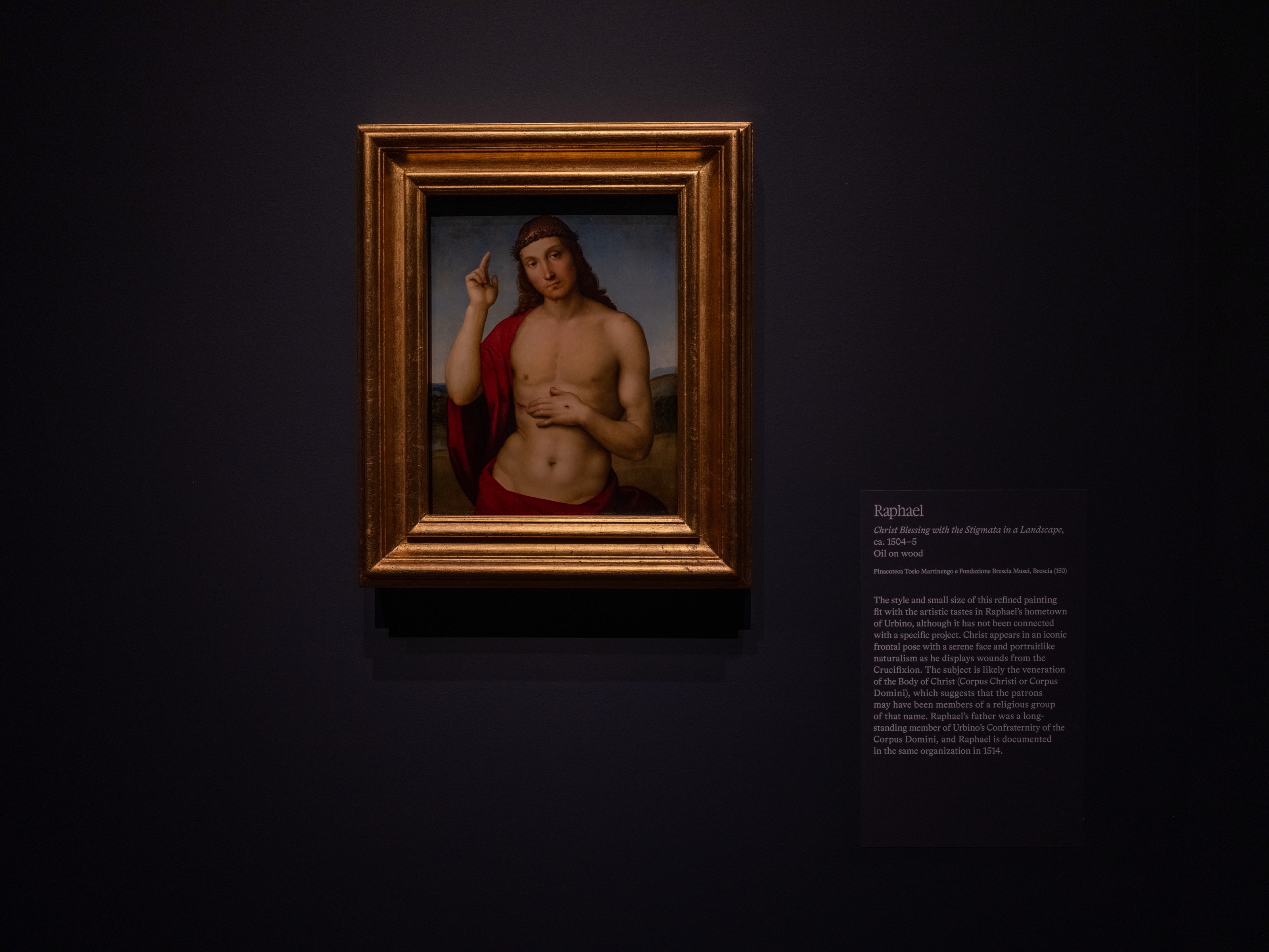 Raphael Study 11