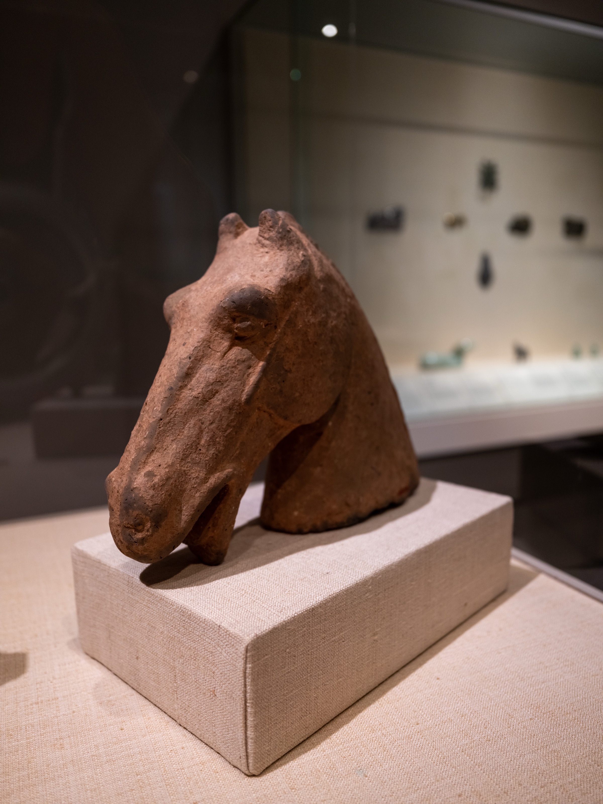 The Met Study 17