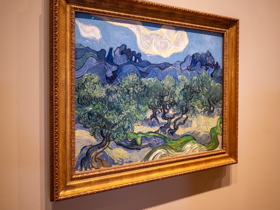 Vincent van Gogh，《橄榄树》