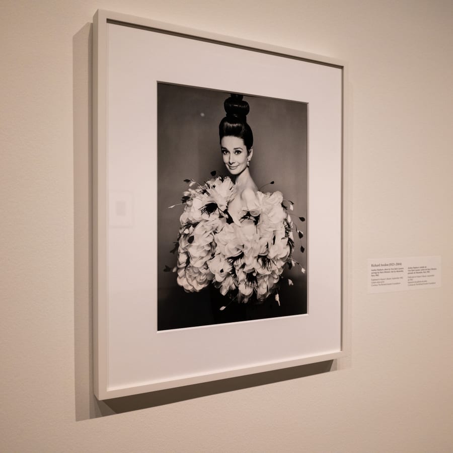 Yves Saint Laurent and Photography