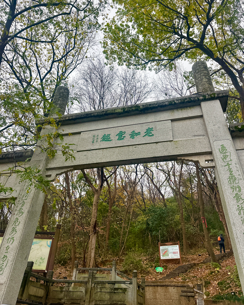 老和云起